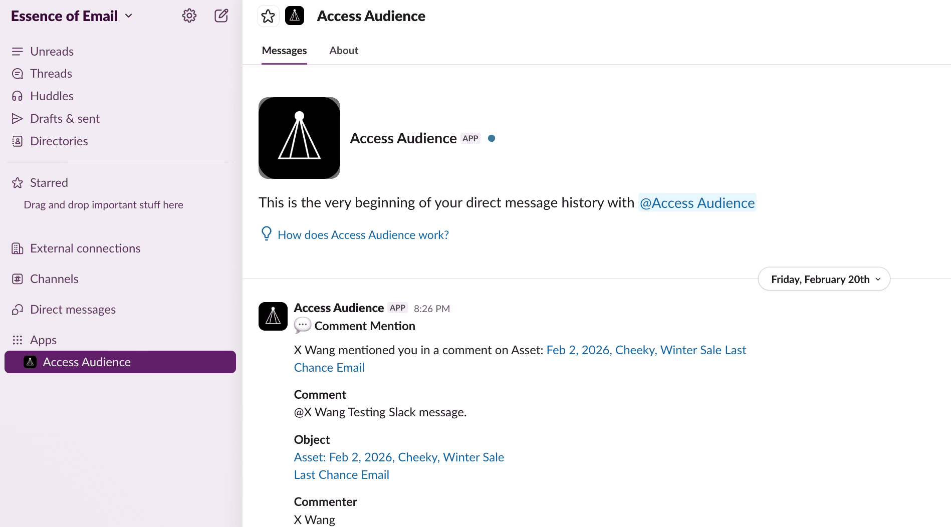Example Slack DM from the Access Audience app showing a comment mention notification